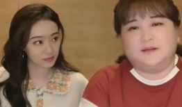 大爆料吃瓜明星视频下载,明星视频下载背后的秘密与风波